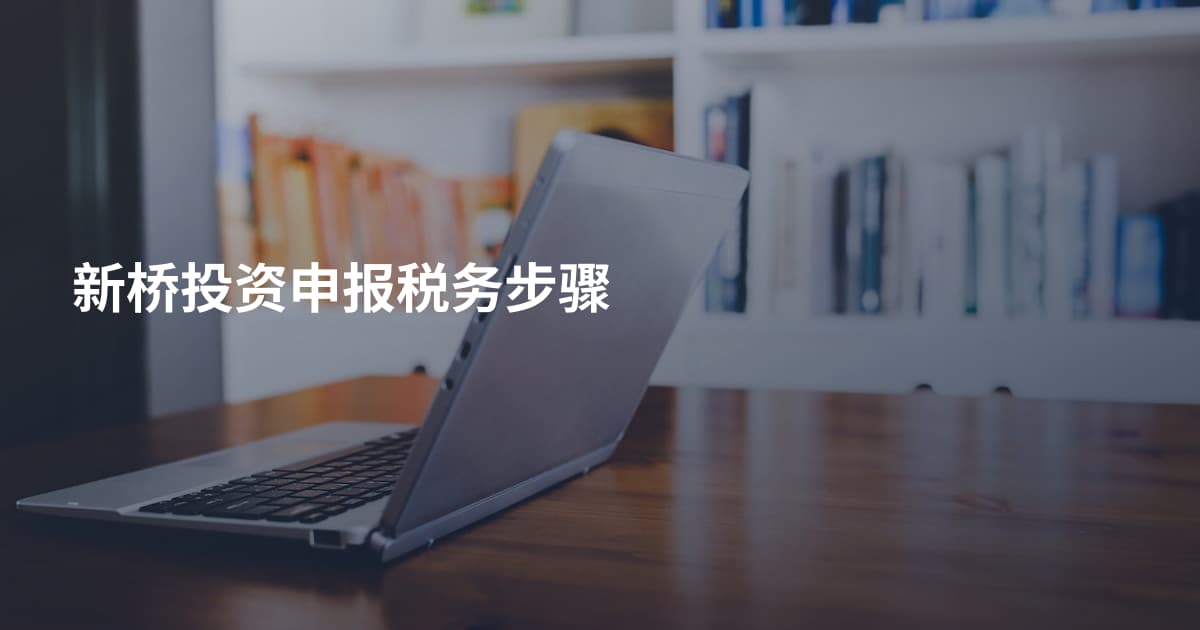 新桥投资申报税务步骤