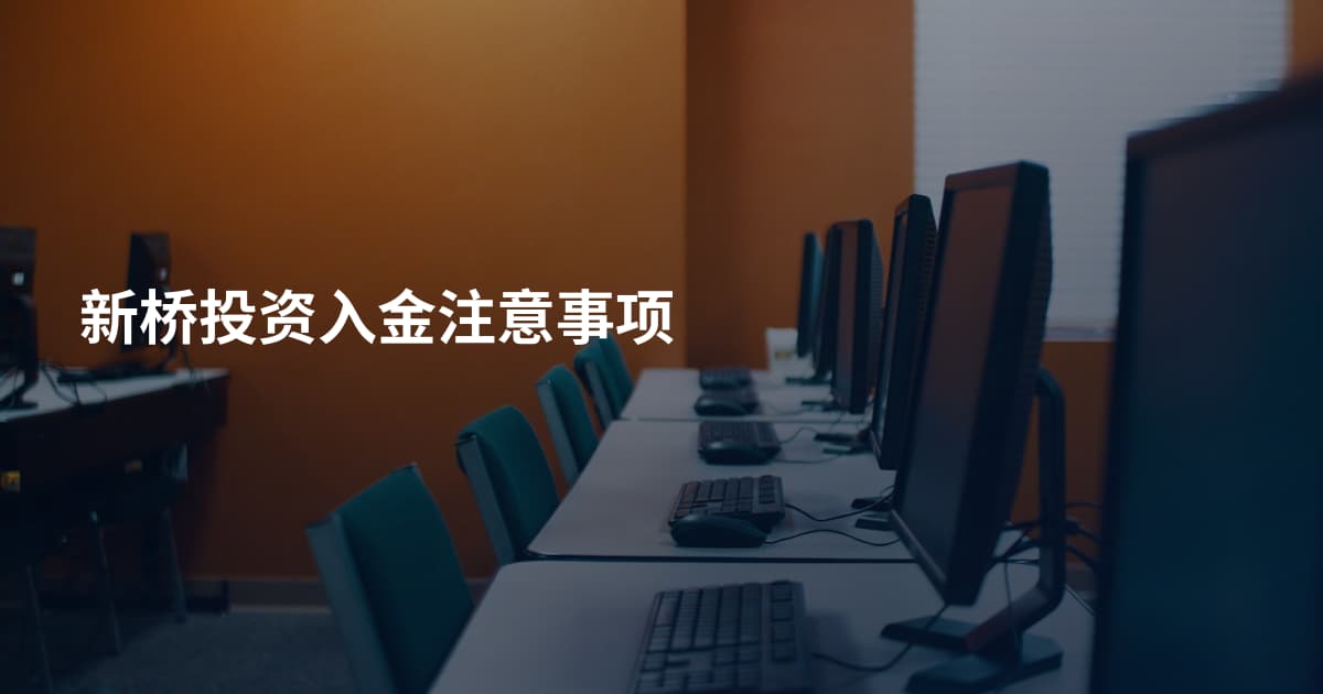 新桥投资入金注意事项