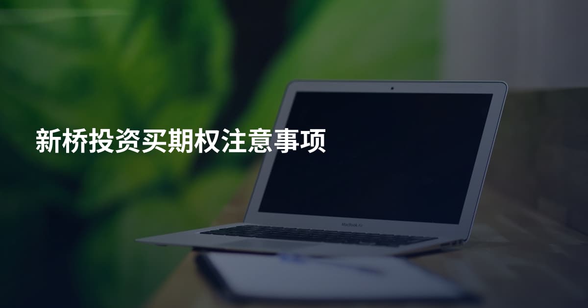 新桥投资买期权注意事项