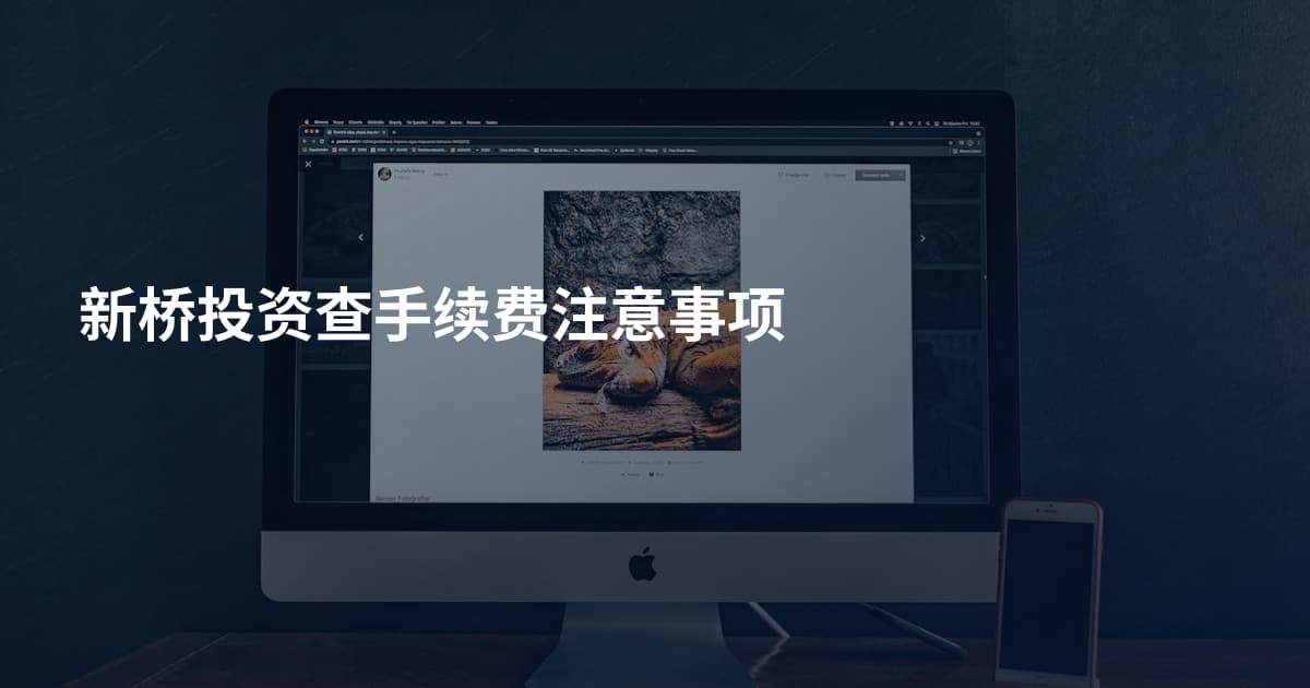 新桥投资查手续费注意事项