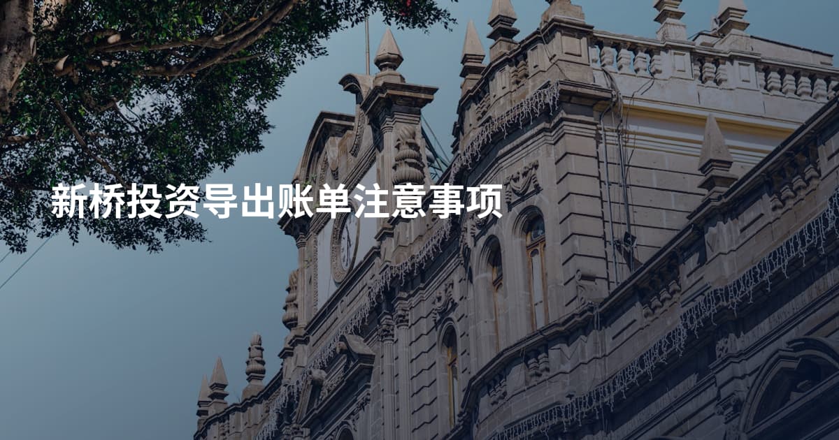 新桥投资导出账单注意事项