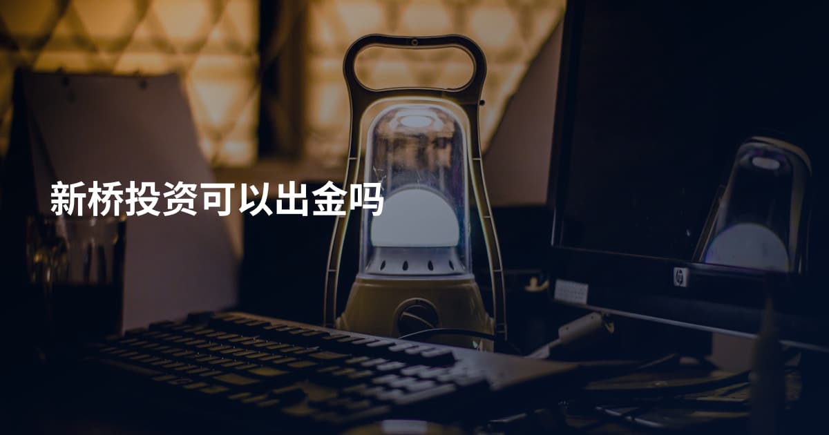 新桥投资可以出金吗