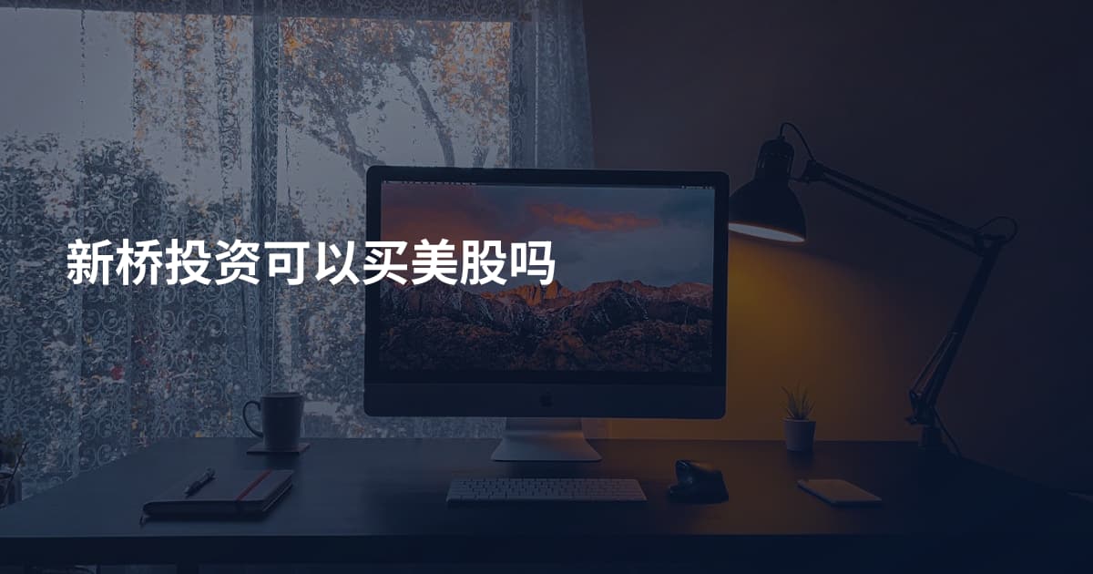 新桥投资可以买美股吗