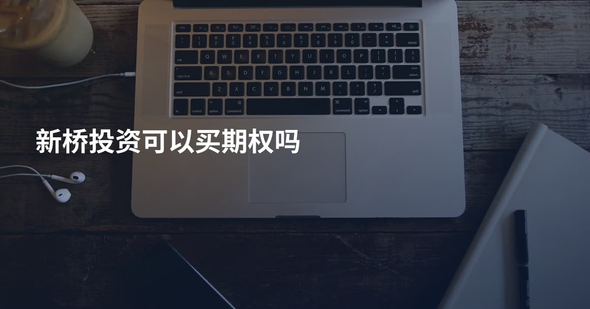 新桥投资可以买期权吗