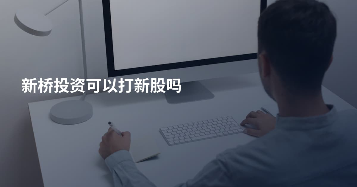 新桥投资可以打新股吗