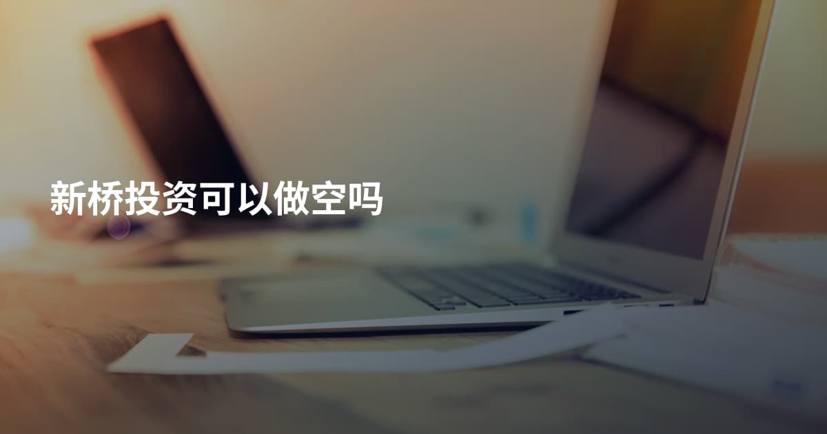 新桥投资可以做空吗
