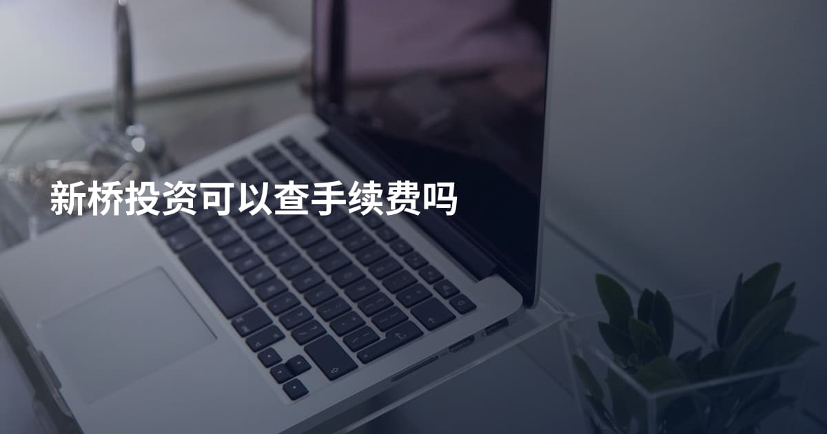 新桥投资可以查手续费吗
