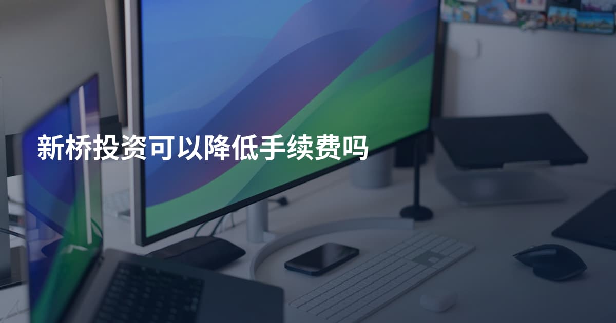 新桥投资可以降低手续费吗