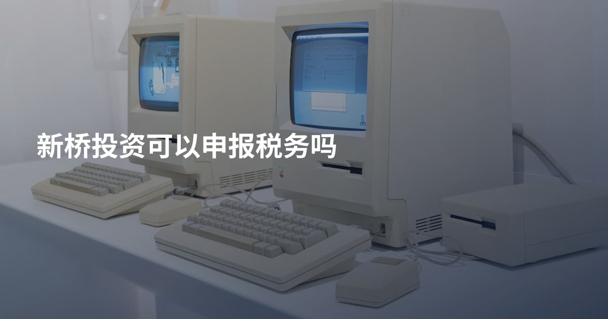 新桥投资可以申报税务吗