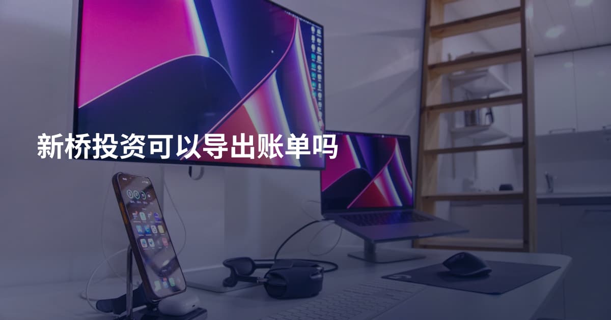 新桥投资可以导出账单吗