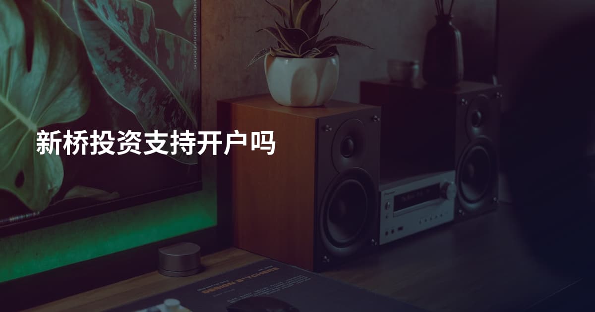 新桥投资支持开户吗