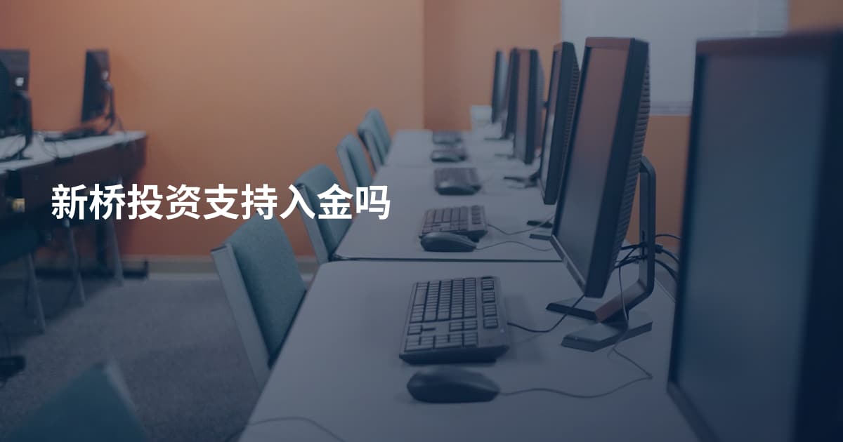新桥投资支持入金吗