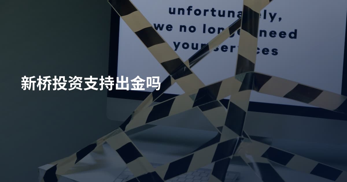 新桥投资支持出金吗