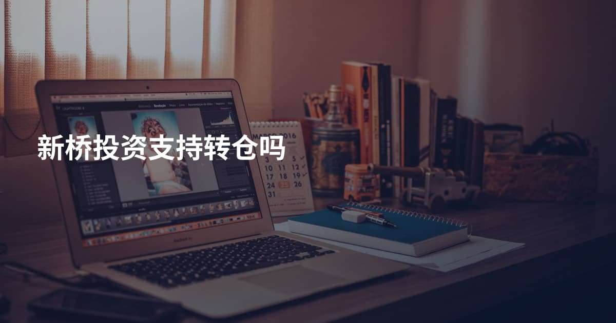 新桥投资支持转仓吗