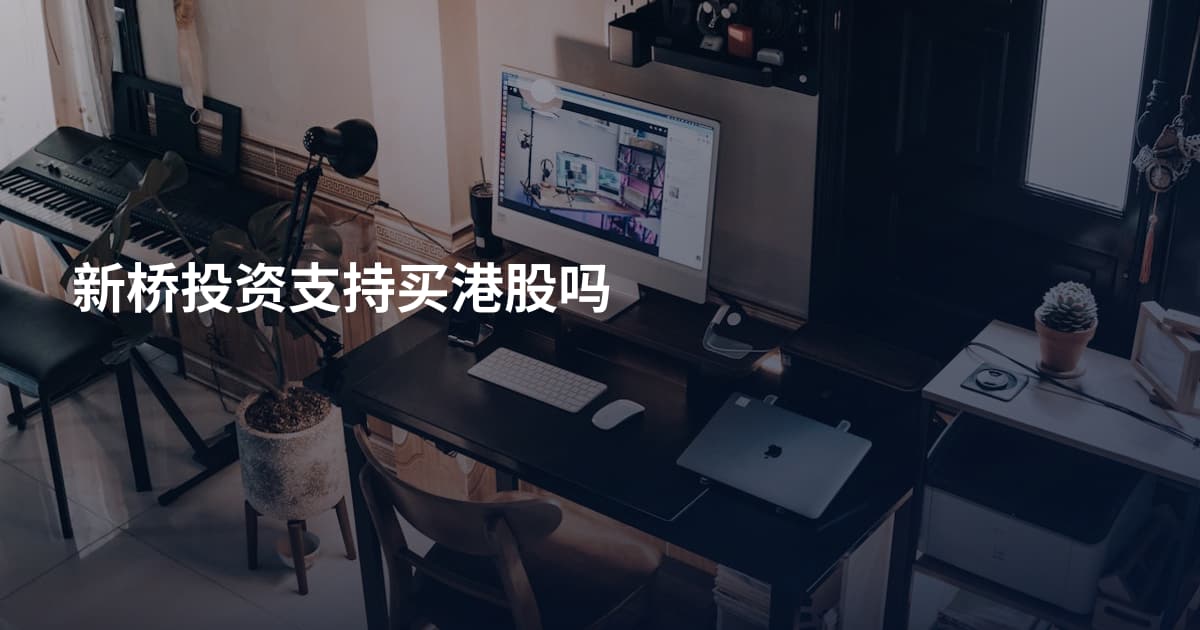 新桥投资支持买港股吗