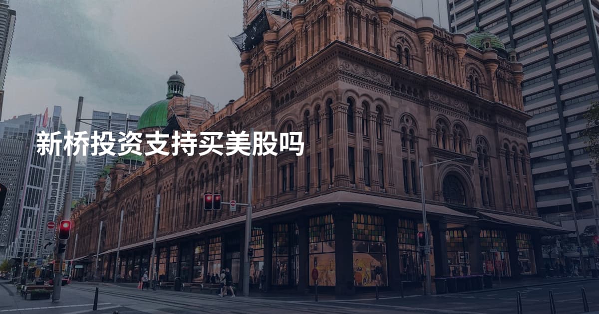新桥投资支持买美股吗