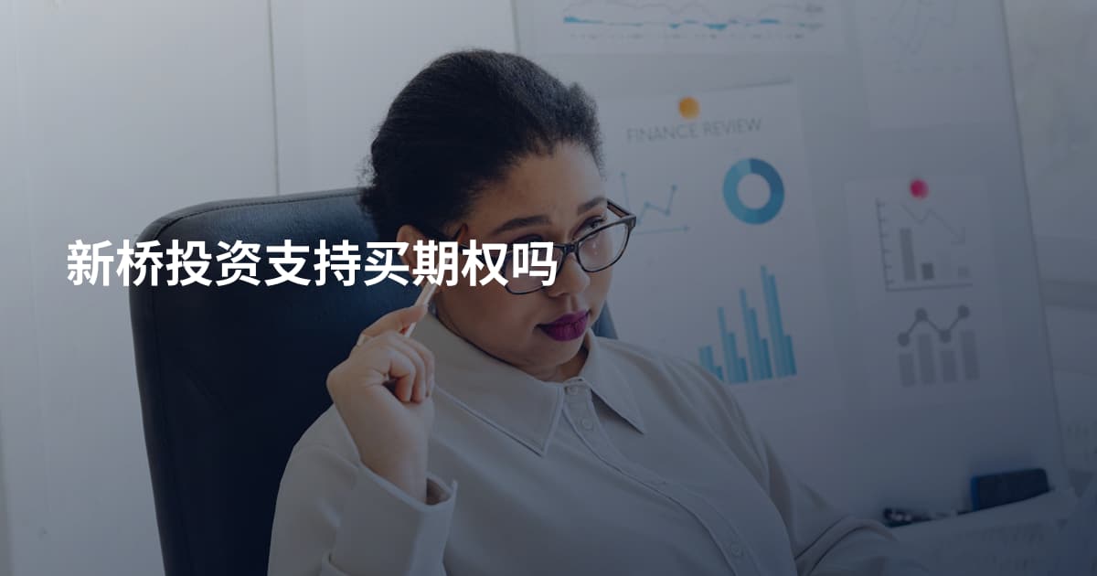 新桥投资支持买期权吗
