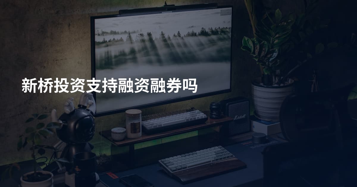 新桥投资支持融资融券吗