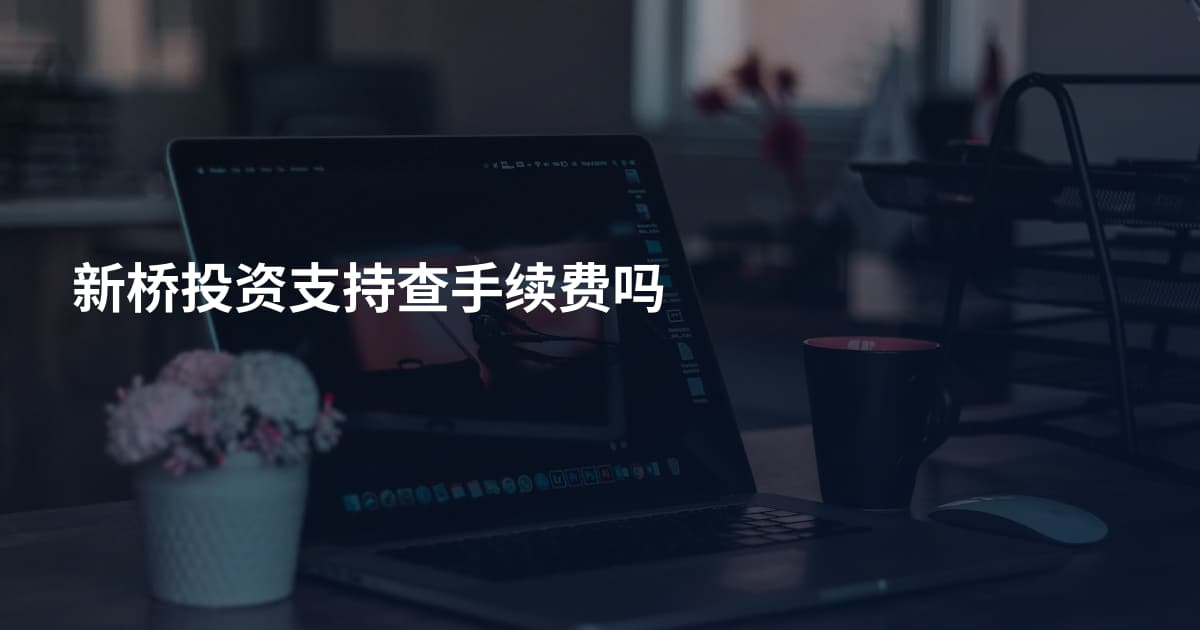 新桥投资支持查手续费吗