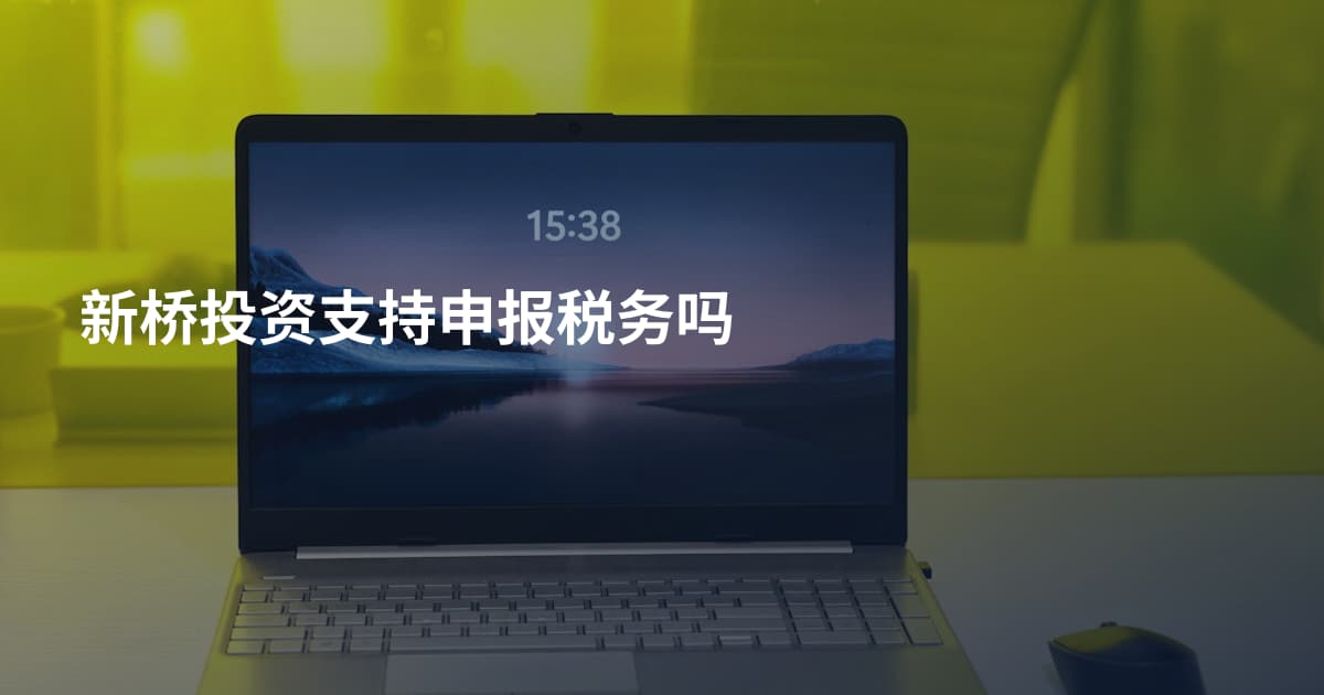新桥投资支持申报税务吗