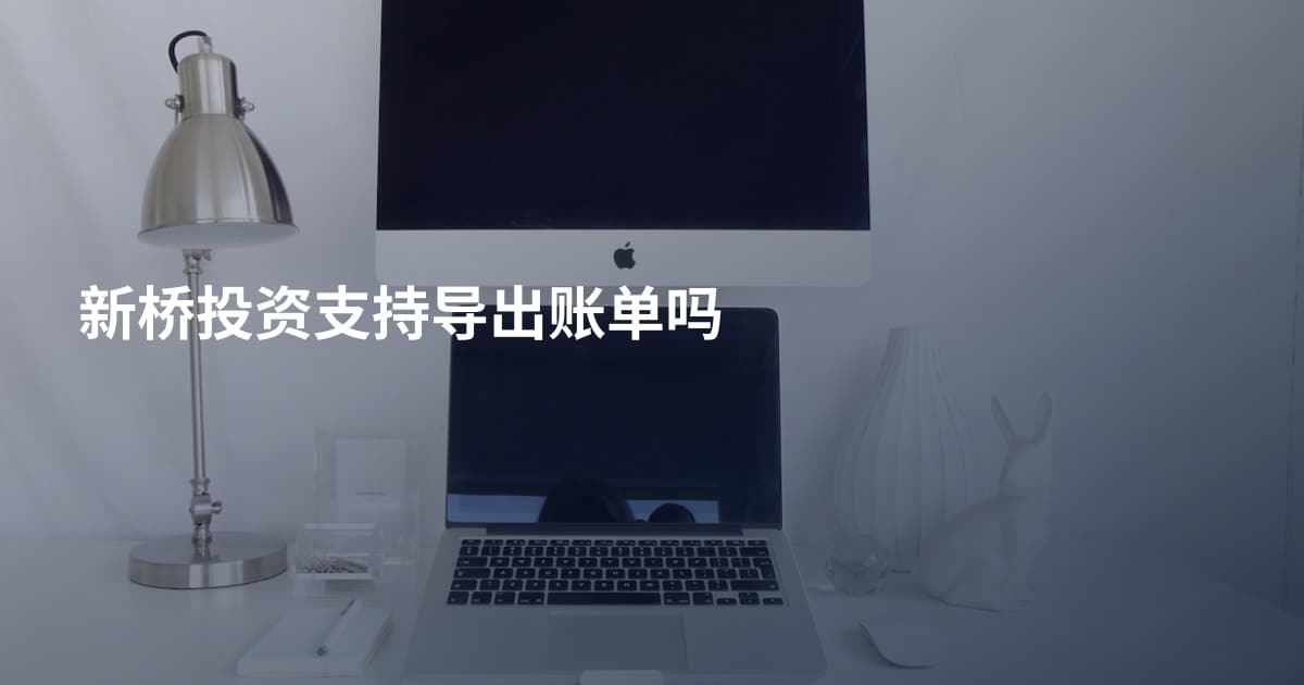 新桥投资支持导出账单吗