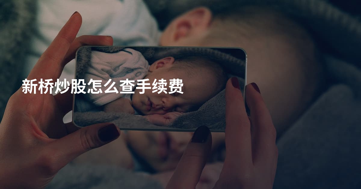 新桥炒股怎么查手续费