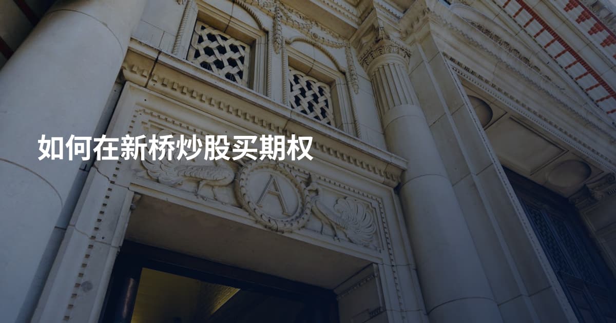 如何在新桥炒股买期权