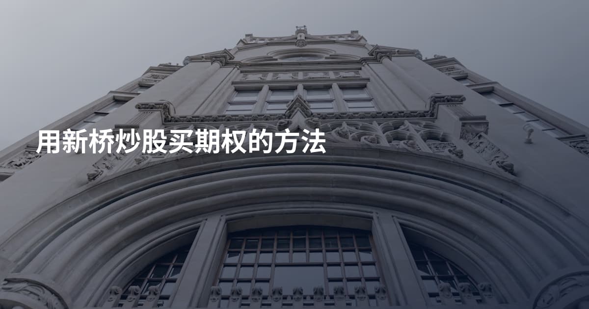 用新桥炒股买期权的方法