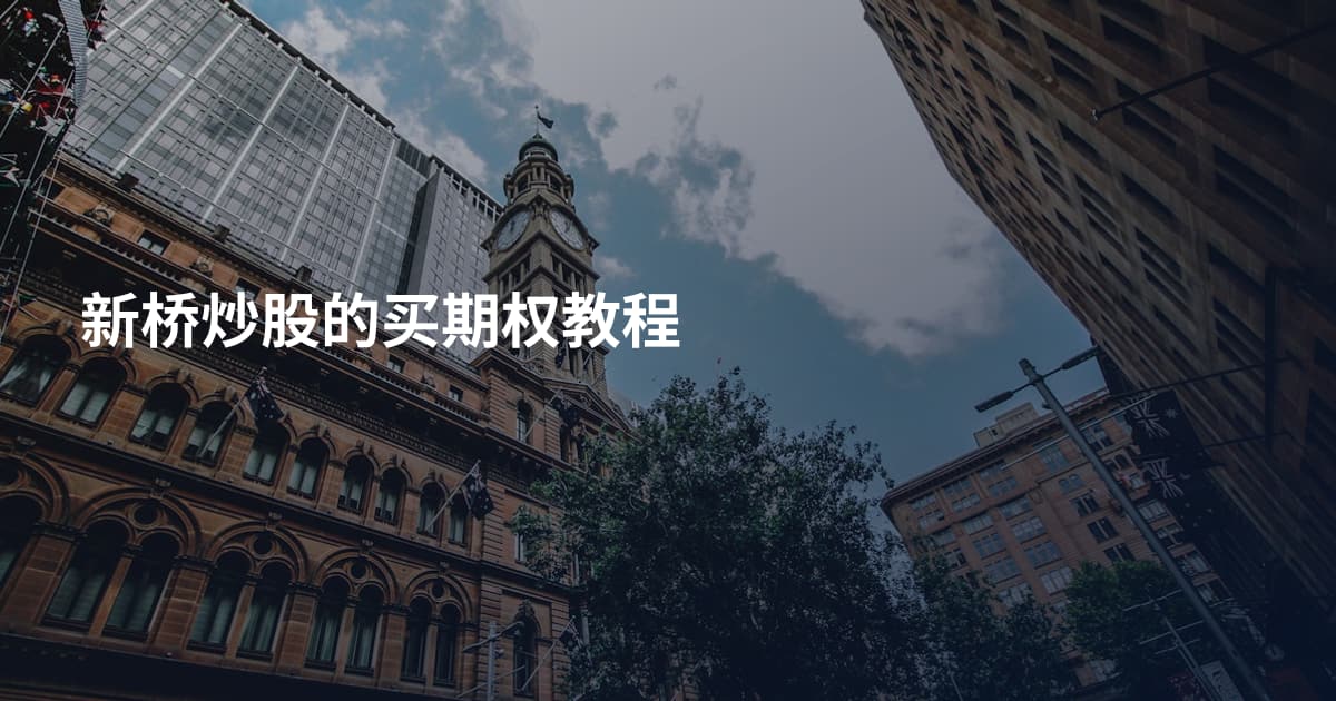 新桥炒股的买期权教程