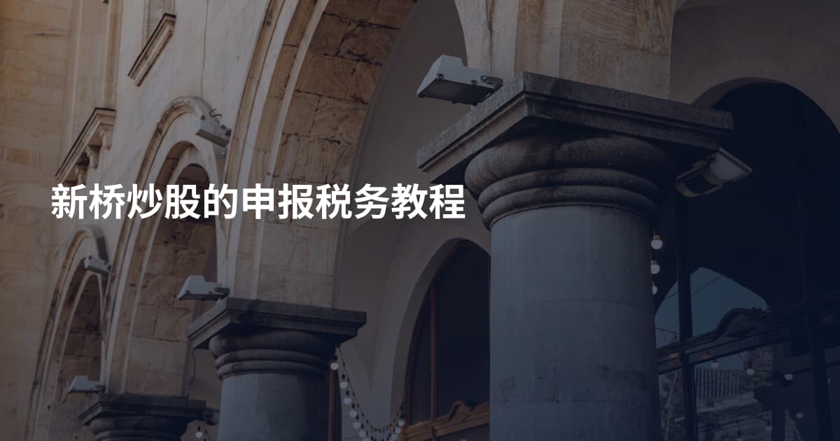 新桥炒股的申报税务教程