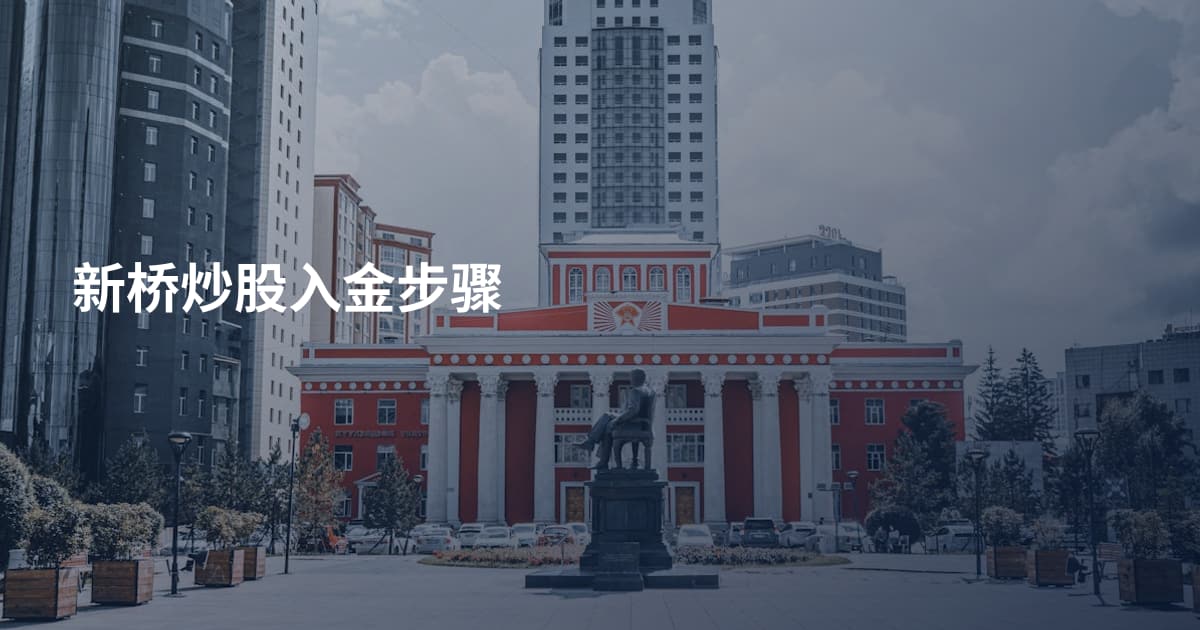 新桥炒股入金步骤