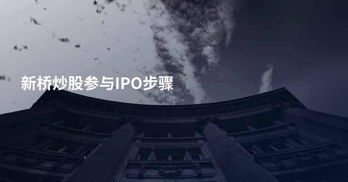新桥炒股参与IPO步骤