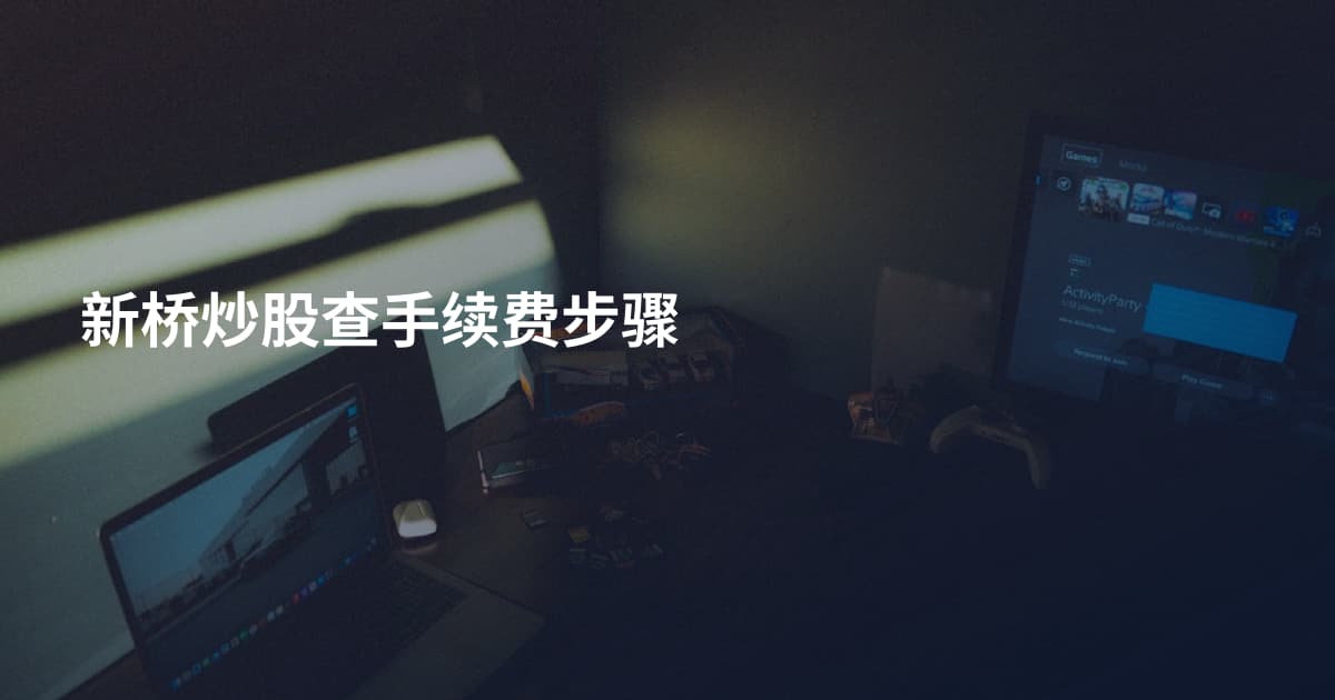新桥炒股查手续费步骤