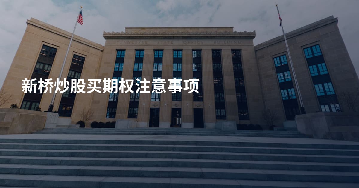 新桥炒股买期权注意事项