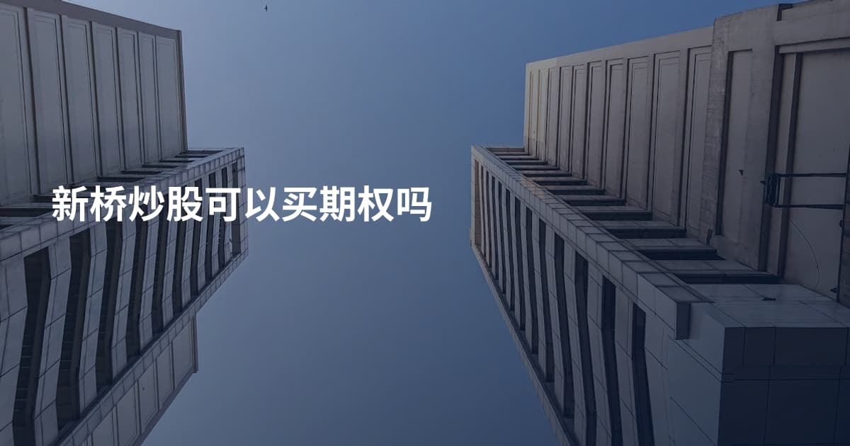 新桥炒股可以买期权吗