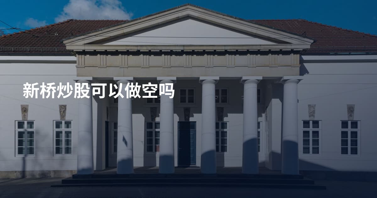 新桥炒股可以做空吗