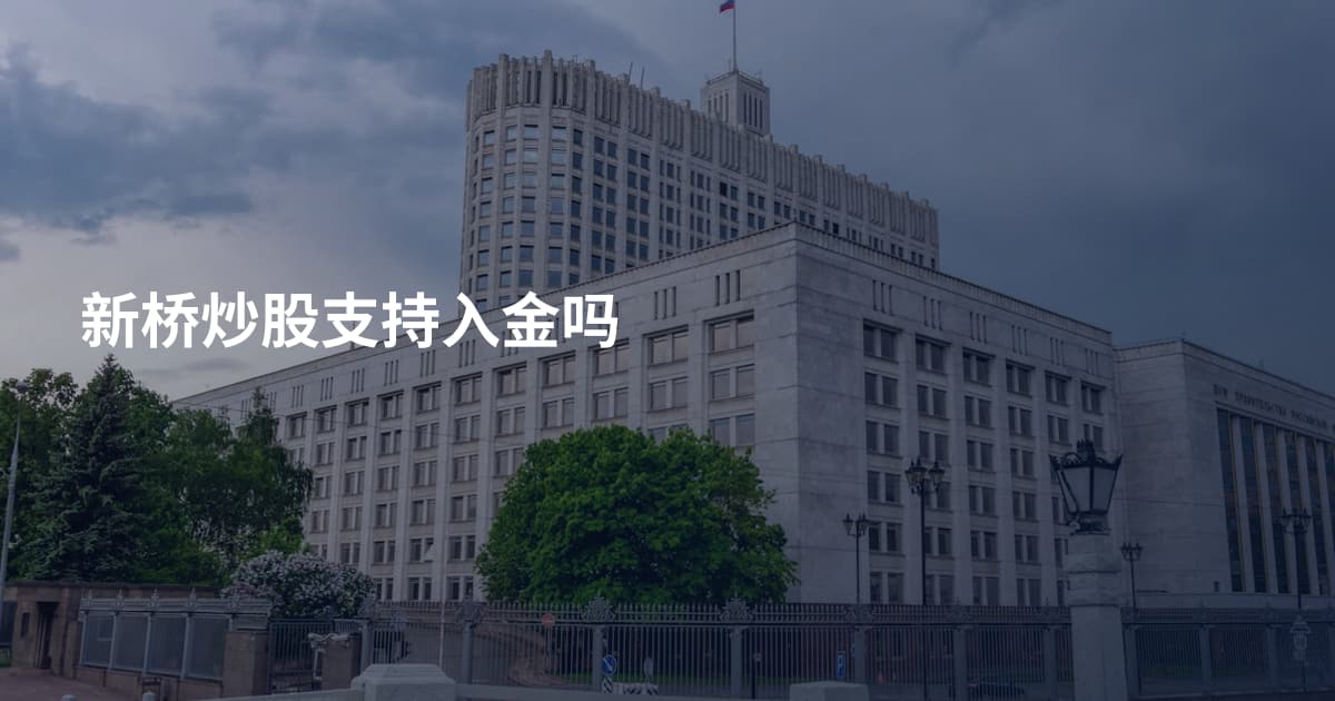 新桥炒股支持入金吗