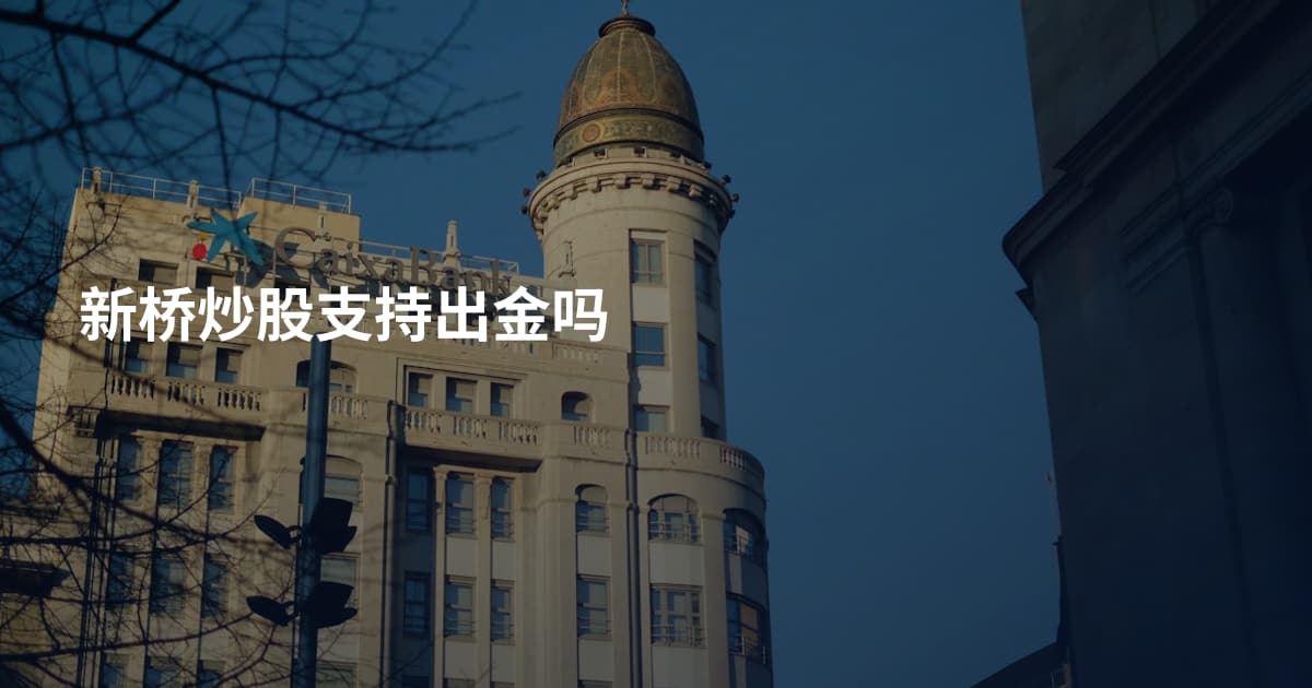 新桥炒股支持出金吗