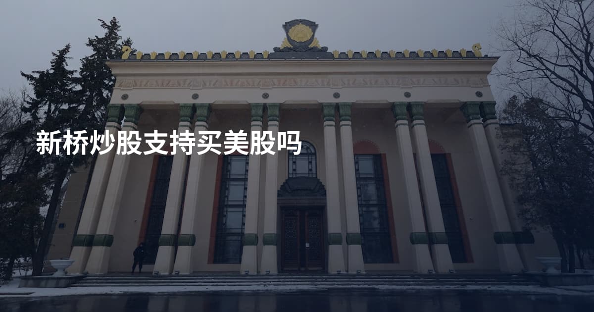 新桥炒股支持买美股吗