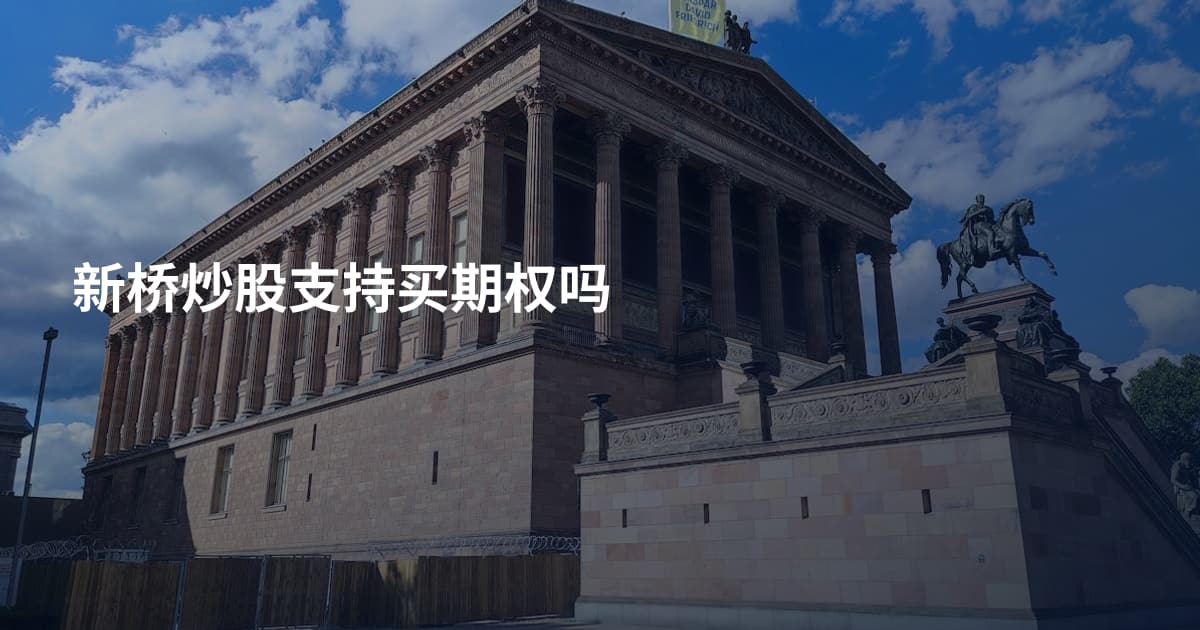 新桥炒股支持买期权吗