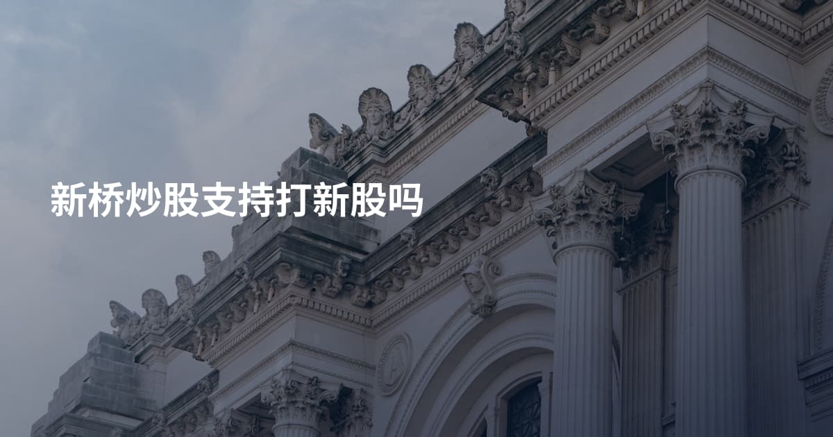 新桥炒股支持打新股吗