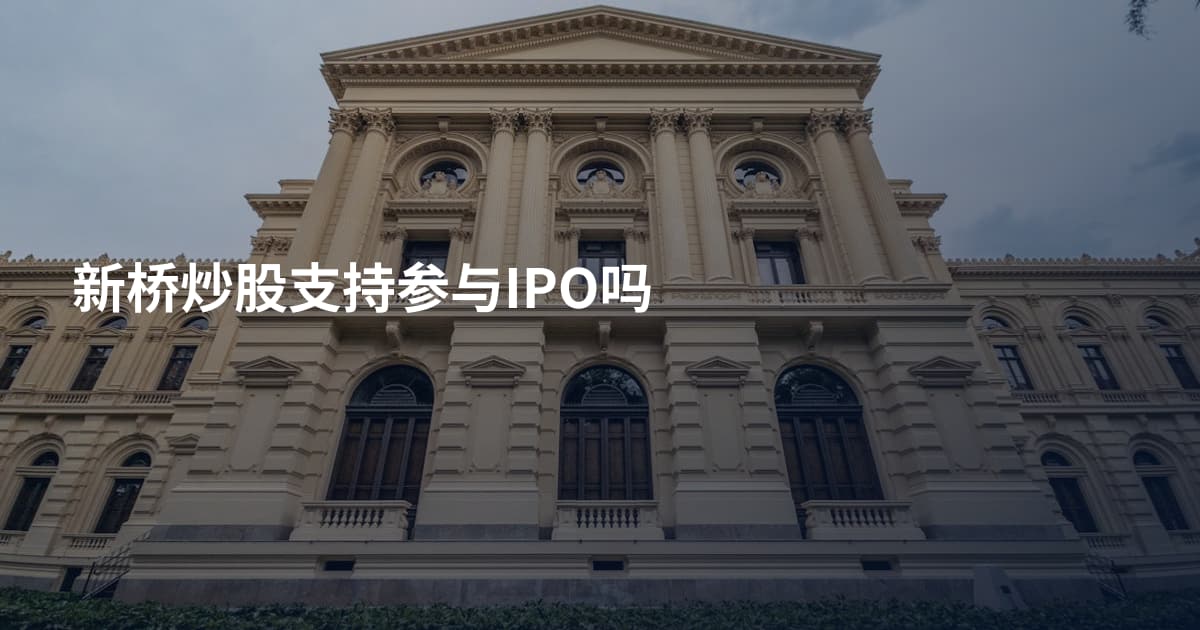 新桥炒股支持参与IPO吗