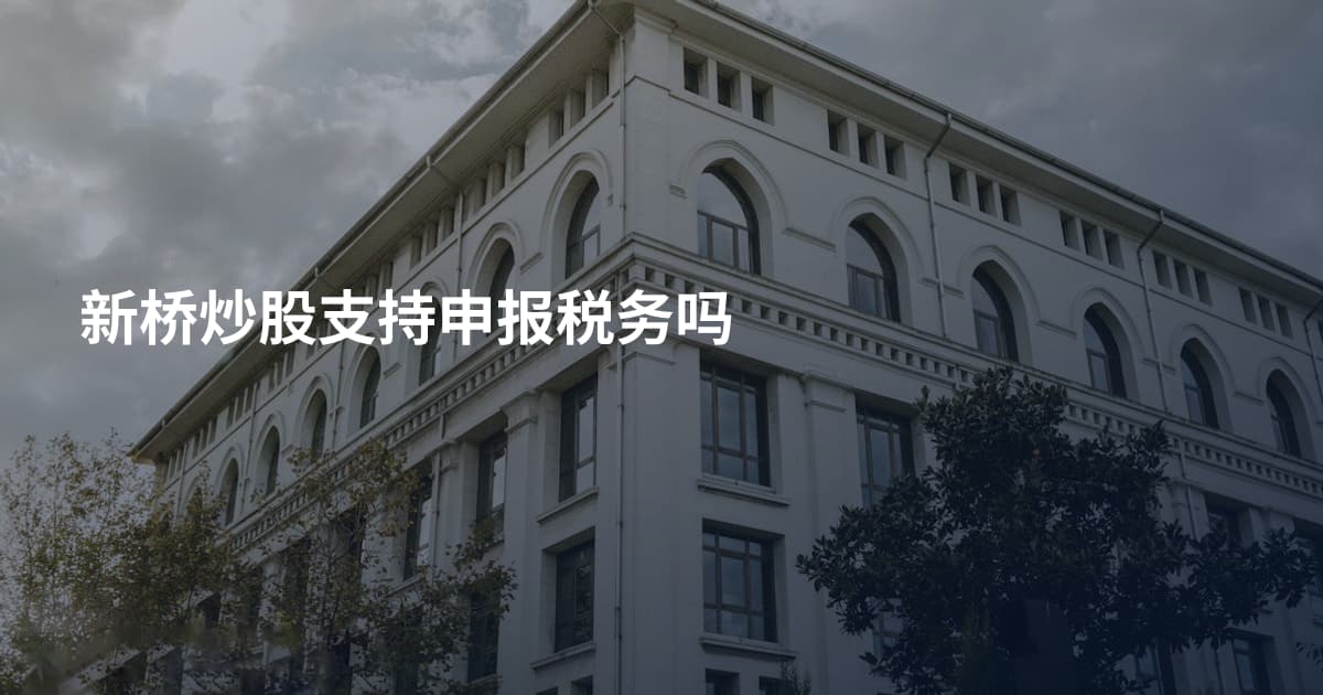 新桥炒股支持申报税务吗