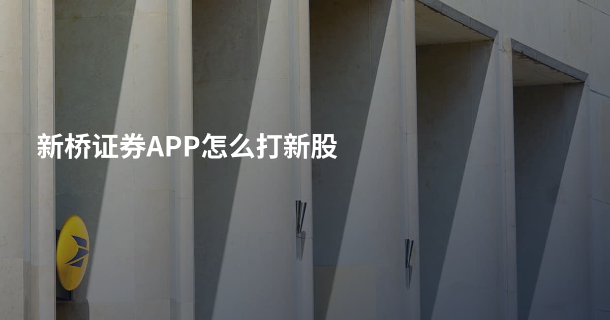 新桥证券APP怎么打新股