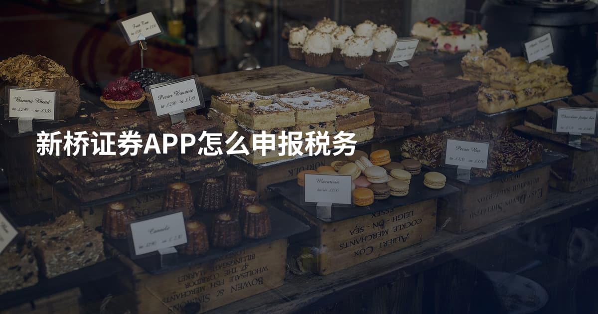 新桥证券APP怎么申报税务