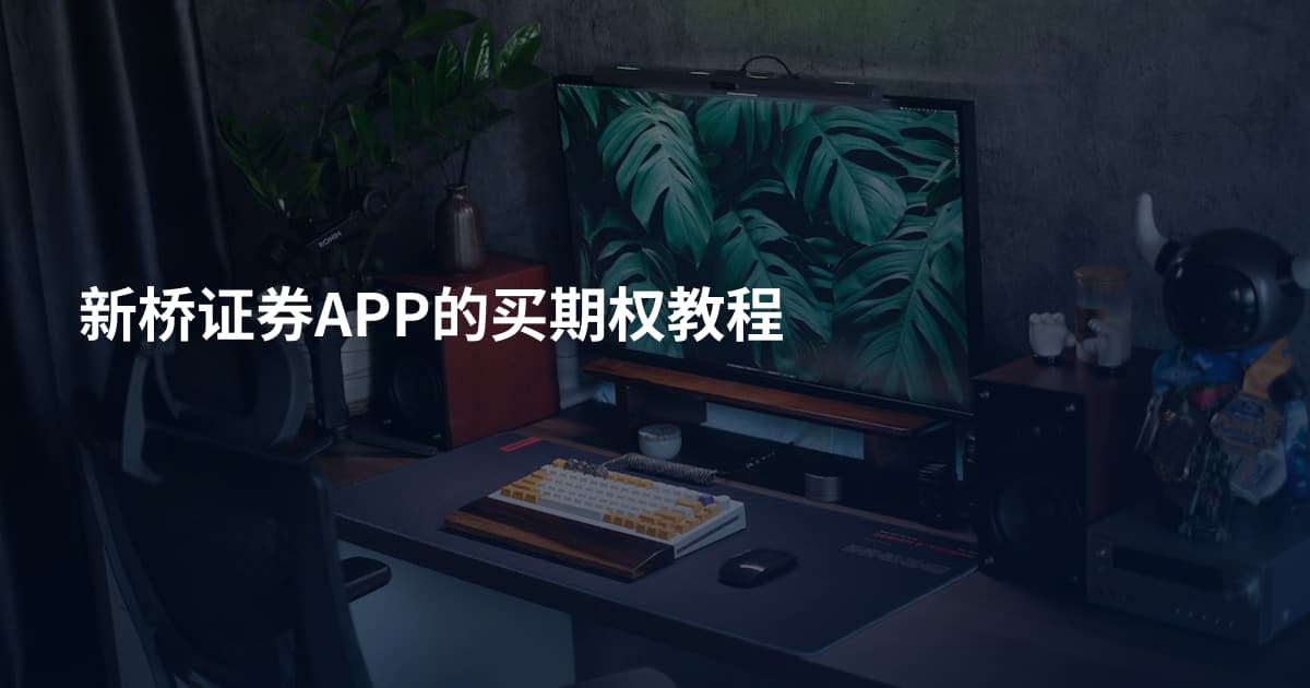 新桥证券APP的买期权教程