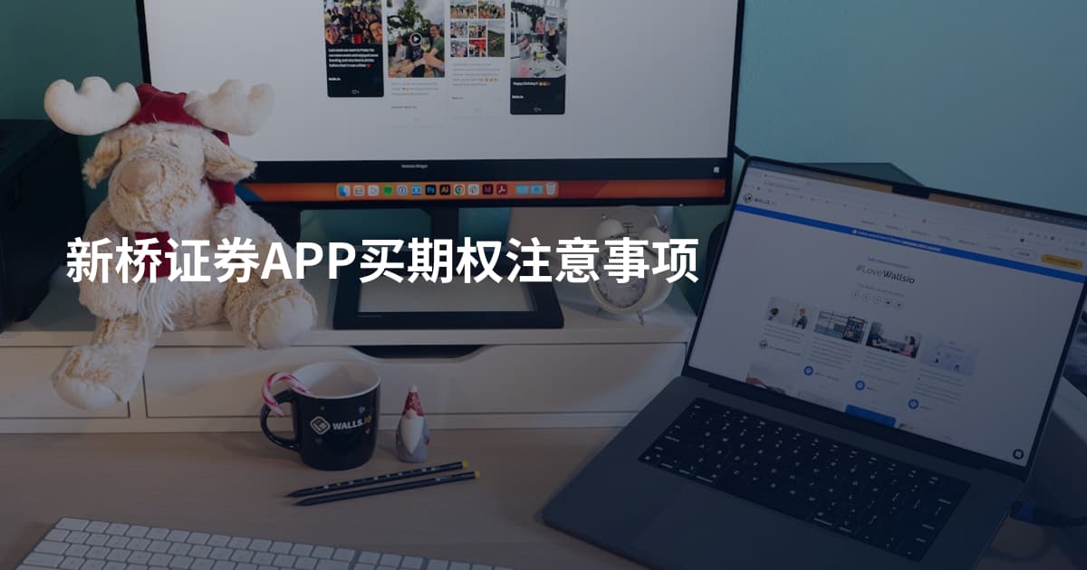 新桥证券APP买期权注意事项