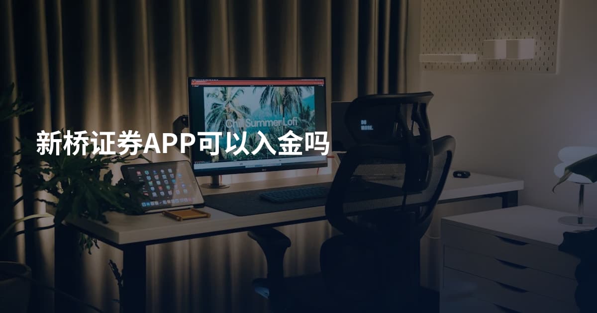 新桥证券APP可以入金吗