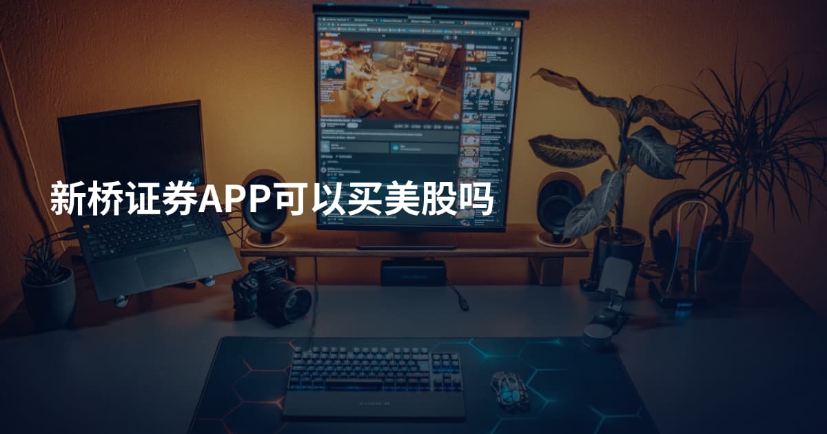 新桥证券APP可以买美股吗