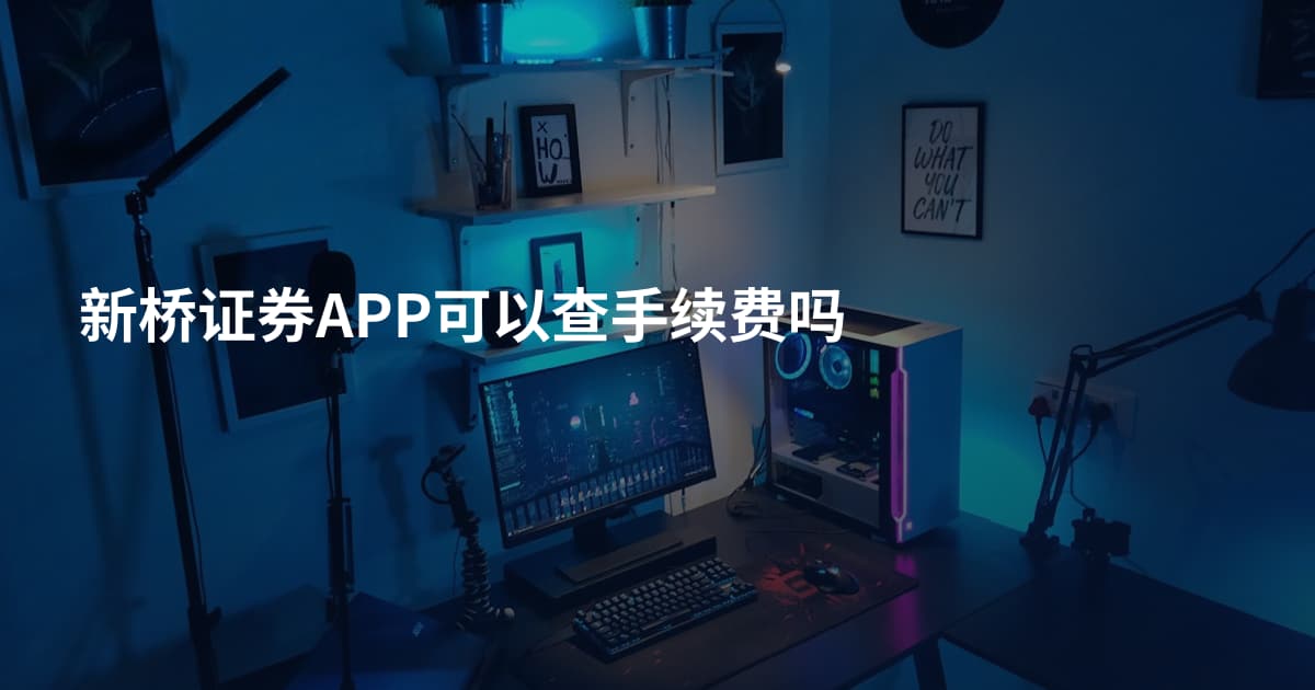 新桥证券APP可以查手续费吗
